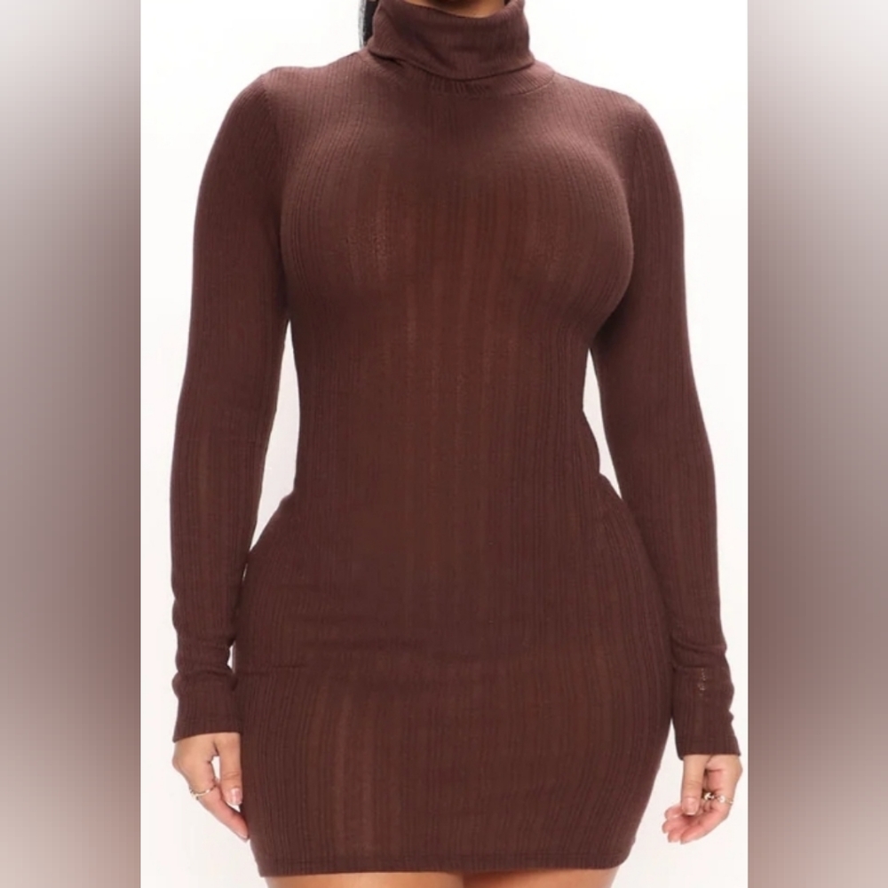 Turtleneck Mini Dress